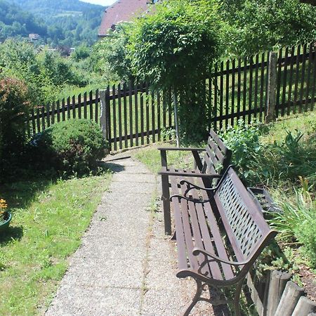 Privat Zelezny Brod Apartment Exterior photo
