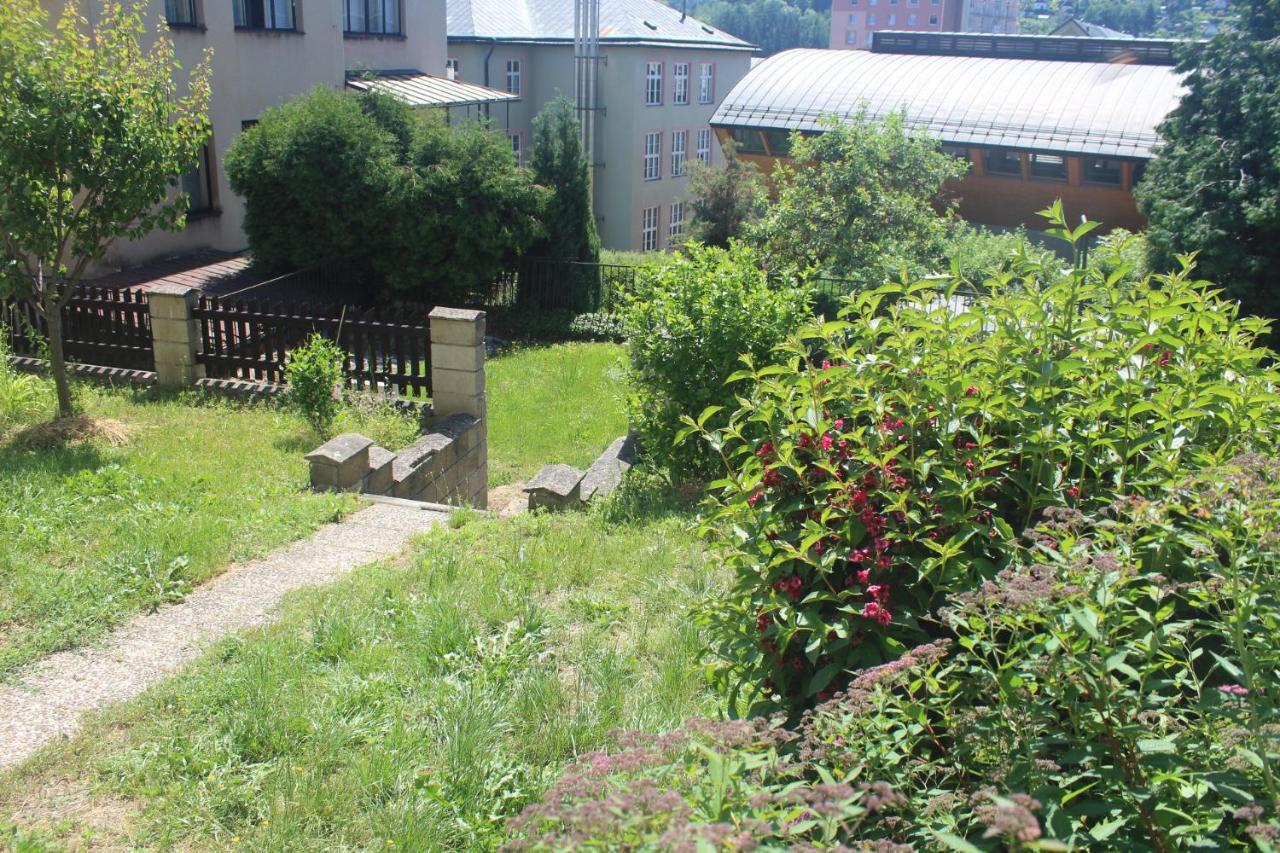 Privat Zelezny Brod Apartment Exterior photo